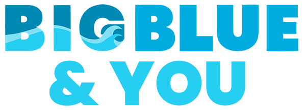 Big-Blue-and-You-Logo-Horiz2-600 Big-Blue-and-You-Logo-Horiz2-600