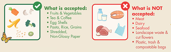 Items to compost and not compost