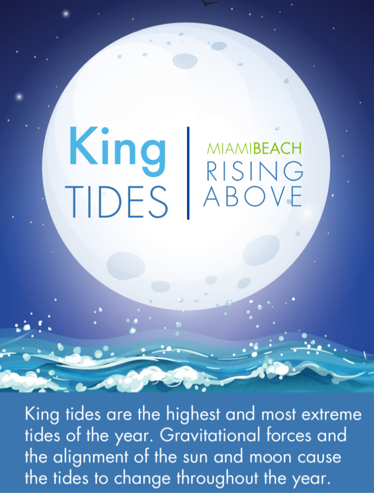 King Tides Miami Beach Rising Above